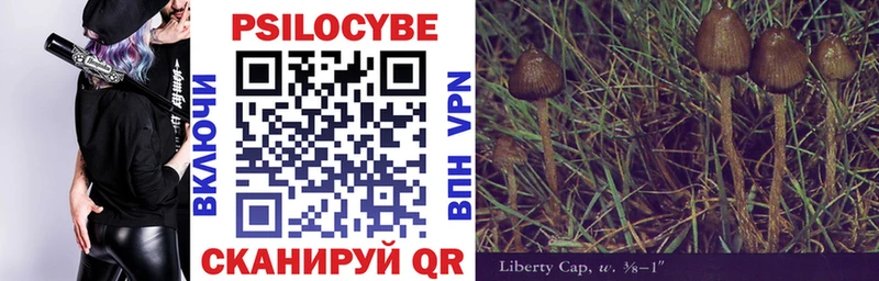 Псилоцибиновые грибы GOLDEN TEACHER  Симферополь 